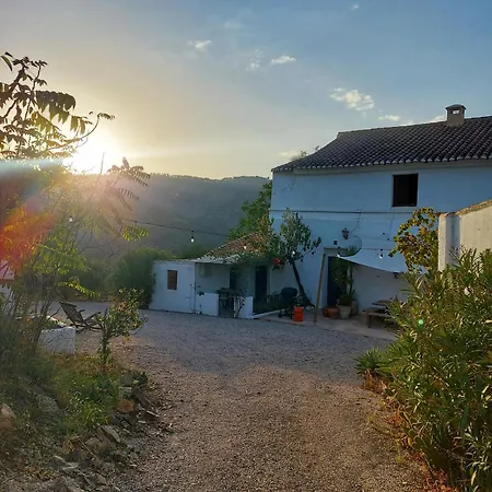 Serrato